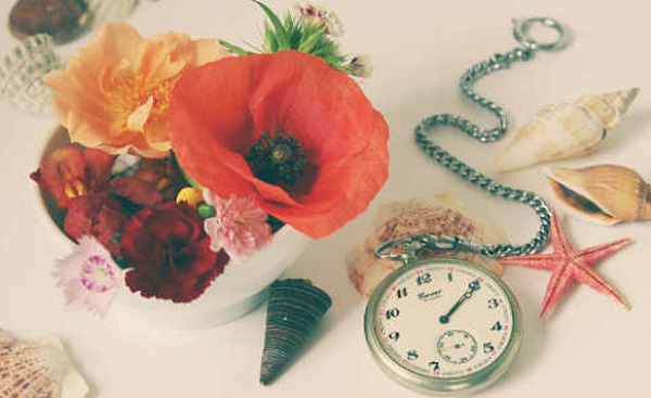 a hibiscus flower and a pocket watch